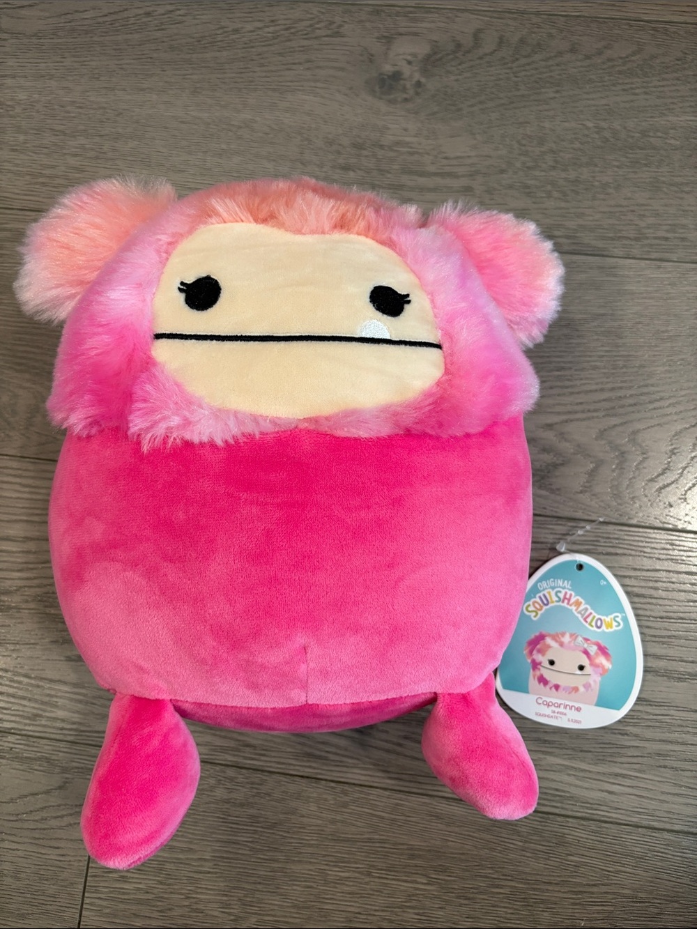 Squishmallows Caparinne 8” BNWT